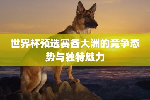世界杯预选赛各大洲的竞争态势与独特魅力漯河市盈旭机械设备有限公司
