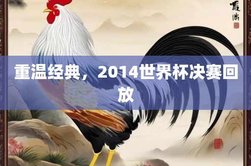 重温经典，2014世界杯决赛回放