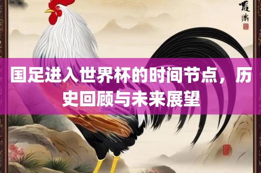 国足进入世界杯的时间节点，历史回顾与未来展望