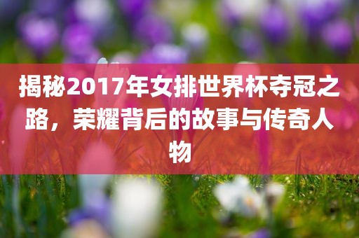 揭秘2017年女排世界杯夺冠之路，荣耀背后的故事与传奇人物漯河市盈旭机械设备有限公司