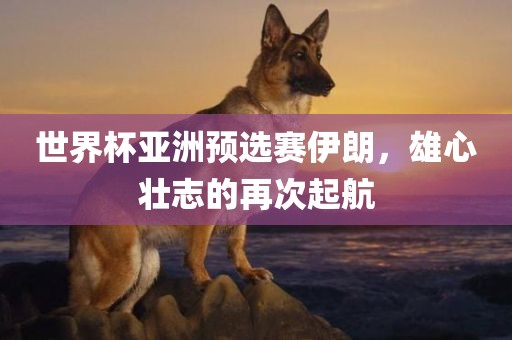 世界杯亚洲预选赛伊朗，雄心壮志的再次起航