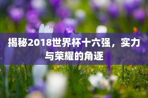 揭秘2018世界杯十六强，实力与荣耀的角逐
