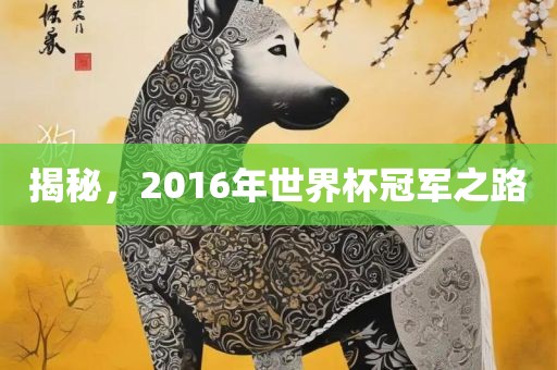 揭秘，2016年世界杯冠军之路