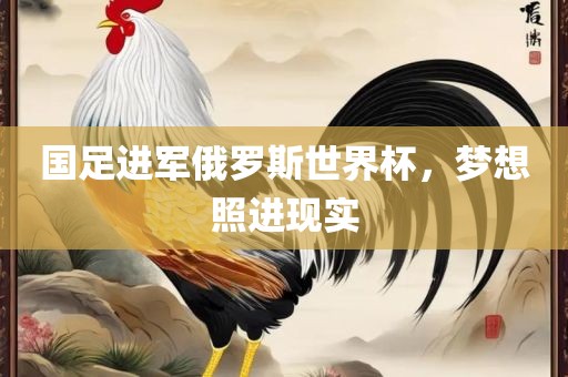 国足进军俄罗斯世界杯，梦想照进现实漯河市盈旭机械设备有限公司