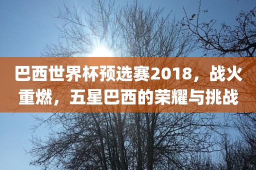 巴西世界杯预选赛2018，战火重燃，五星巴西的荣耀与挑战