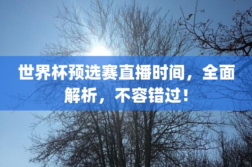 世界杯预选赛直播时间，全面解析，不容错过！漯河市盈旭机械设备有限公司