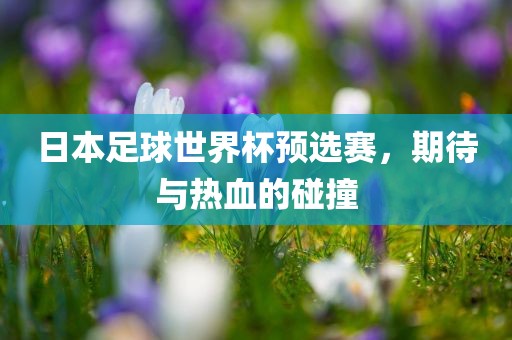 日本足球世界杯预选赛，期待与热血的碰撞漯河市盈旭机械设备有限公司