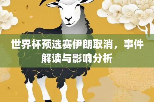 世界杯预选赛伊朗取消，事件解读与影响分析