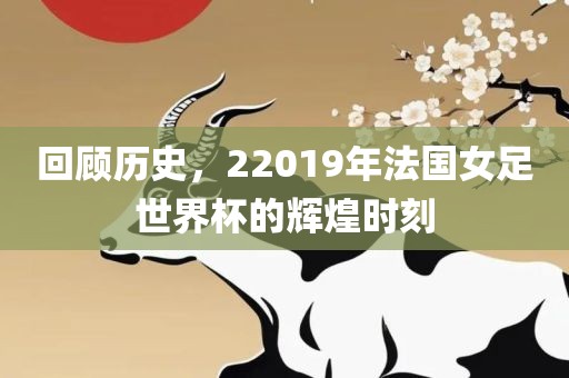 回顾历史，22019年法国女足世界杯的辉煌时刻