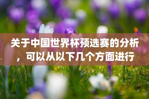关于中国世界杯预选赛的分析，可以从以下几个方面进行