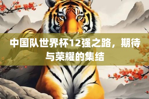 中国队世界杯12强之路，期待与荣耀的集结