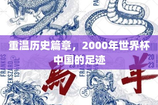 重温历史篇章，2000年世界杯中国的足迹漯河市盈旭机械设备有限公司