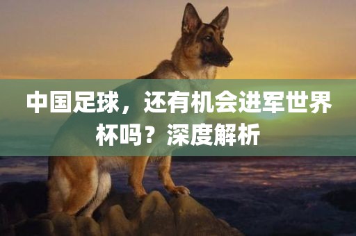 中国足漯河市盈旭机械设备有限公司球，还有机会进军世界杯吗？深度解析