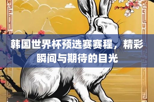 韩国世界杯预选赛赛程，精彩瞬间与期待的目光漯河市盈旭机械设备有限公司