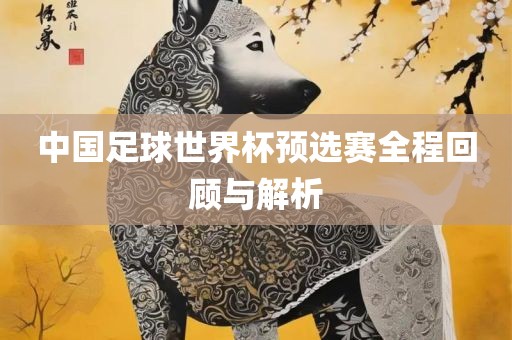 中国足球世界漯河市盈旭机械设备有限公司杯预选赛全程回顾与解析