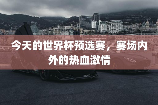 今天的世界杯预选赛，赛场内外的热血激情漯河市盈旭机械设备有限公司