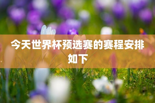 今天世界杯预选赛漯河市盈旭机械设备有限公司的赛程安排如下