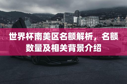 世界杯南美区名额解析，名额数量及相关背景介绍