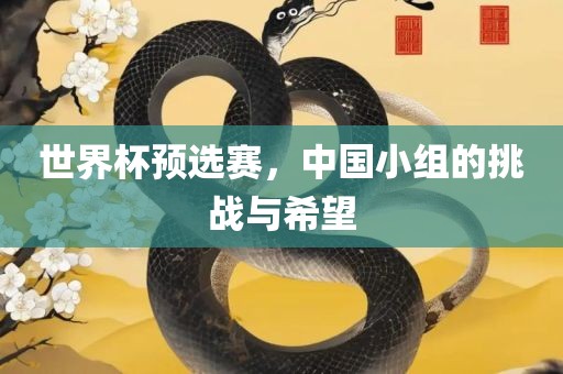 世界杯预选赛，中国小漯河市盈旭机械设备有限公司组的挑战与希望