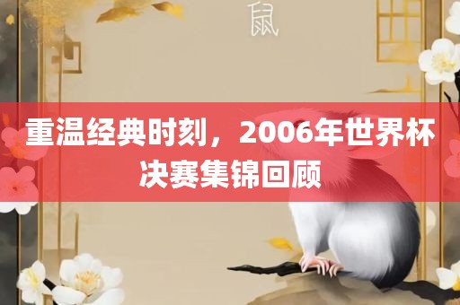 重温经典时刻，2006年世界杯决赛集锦回顾