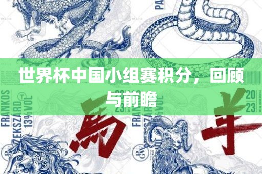 世界杯中国小组赛积分，回顾与前瞻漯河市盈旭机械设备有限公司