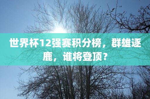 世界杯12强赛积分榜，群雄逐鹿，谁将登顶？漯河市盈旭机械设备有限公司