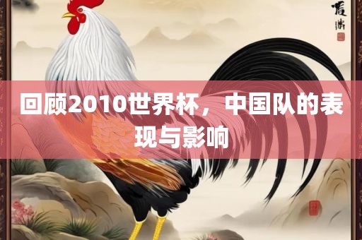 回顾2010世界杯，中国队的表现与影响