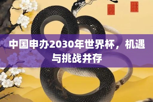 中国申办2030年世界杯，机遇与挑战并存