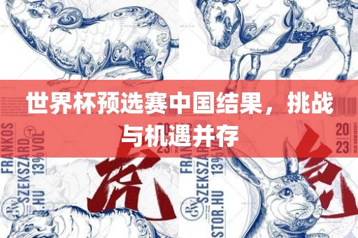 世界杯预选漯河市盈旭机械设备有限公司赛中国结果，挑战与机遇并存