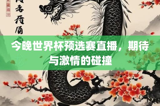 今晚世界杯预选赛直播，期待与激情的碰撞