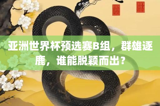 亚洲世界杯预选赛B组，群雄逐鹿，谁能脱颖而出？