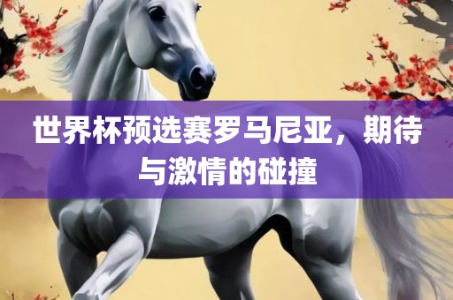 世界杯预选赛 第4页