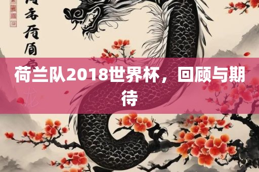 荷兰队2018世界杯，回顾与期待