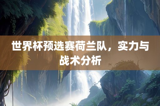 世界杯预选赛荷兰队，实力与战术分析