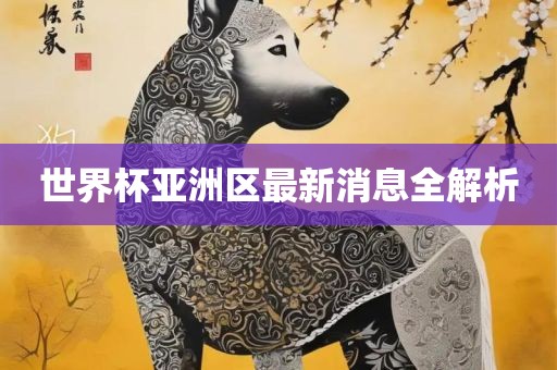 世界杯亚洲区最新消息全解析