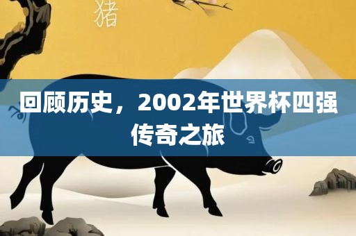 回顾历史，2002年世界杯四强传奇之旅
