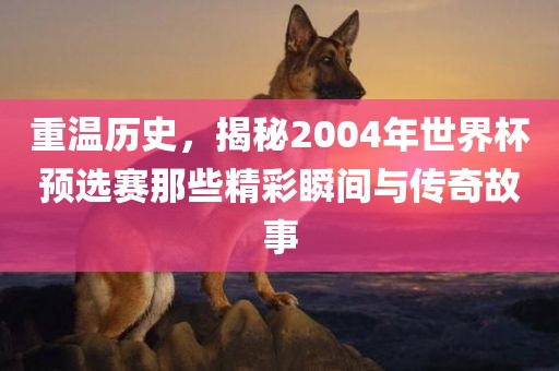 重温漯河市盈旭机械设备有限公司历史，揭秘2004年世界杯预选赛那些精彩瞬间与传奇故事