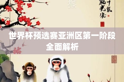世界杯预选赛亚洲区第一阶段全面解析
