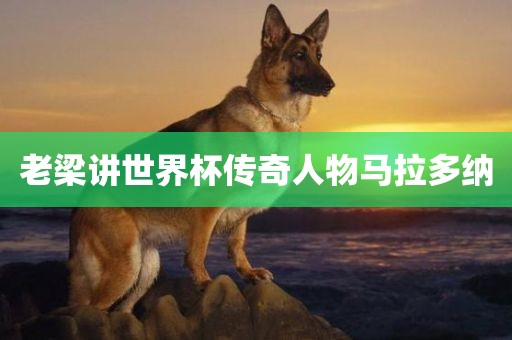 老梁讲世界杯传奇人物漯河市盈旭机械设备有限公司马拉多纳