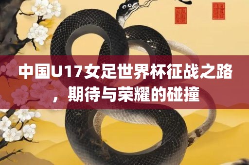 中国U17女足世界杯征战之路，期待与荣耀的碰撞