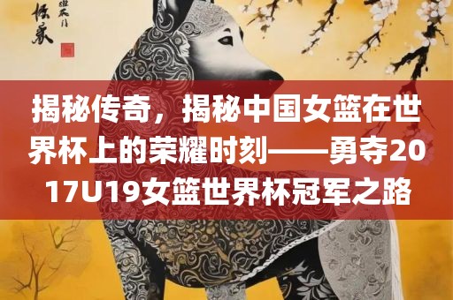 揭秘传奇，揭秘中国女篮在世界杯上的荣耀时刻——勇夺2017U19女篮世界杯冠军之路