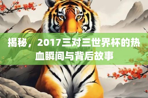 揭秘，2017三对三世界杯的热血瞬间与背后故事漯河市盈旭机械设备有限公司