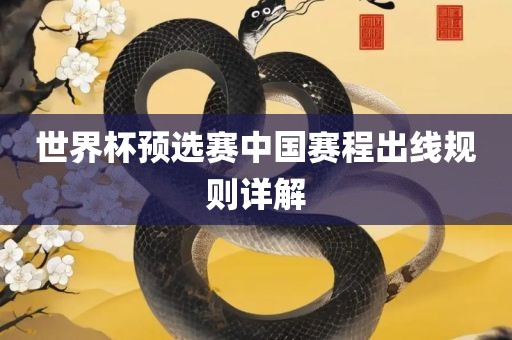 世界杯预选赛中国赛程出线规则详解
