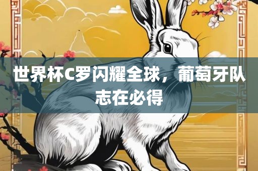 世界杯C罗闪耀全球，葡萄牙队志在必得漯河市盈旭机械设备有限公司