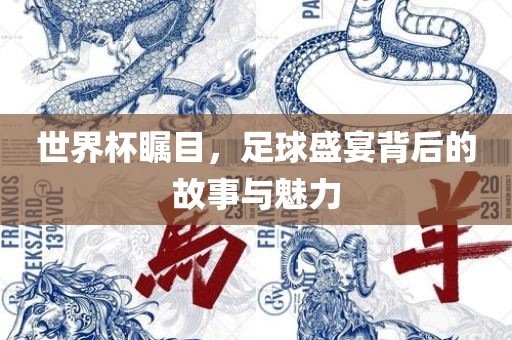 世界杯瞩目，足球盛宴背后的故事与魅力
