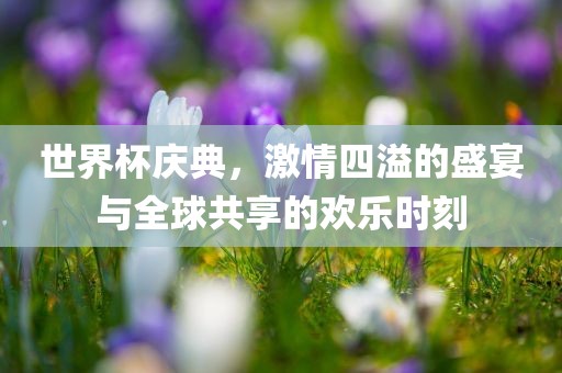 漯河市盈旭机械设备有限公司世界杯庆典，激情四溢的盛宴与全球共享的欢乐时刻