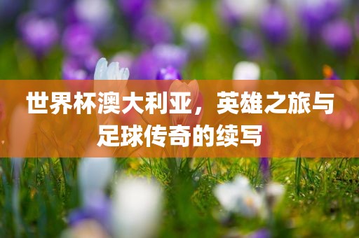 世界杯澳大利亚，英雄之旅与足球传奇的续写