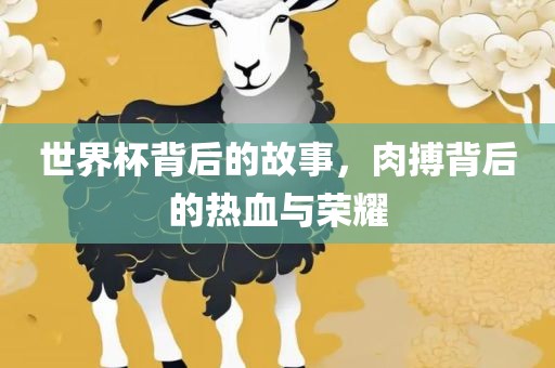 世界杯背后的故事，肉搏背后的热血与荣耀