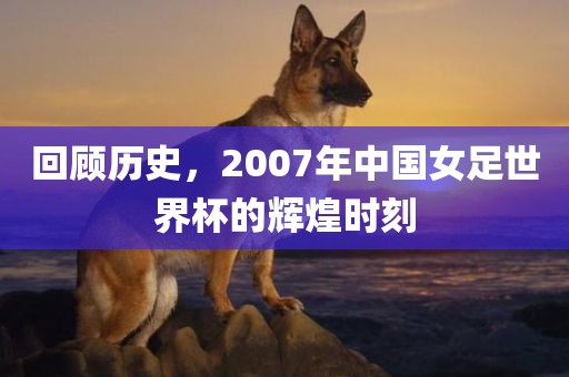 回顾历史，2007年中国女足世界杯的辉煌时刻漯河市盈旭机械设备有限公司