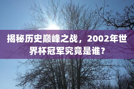 揭秘历史巅峰之战，2002年世界杯冠军究竟是谁？漯河市盈旭机械设备有限公司